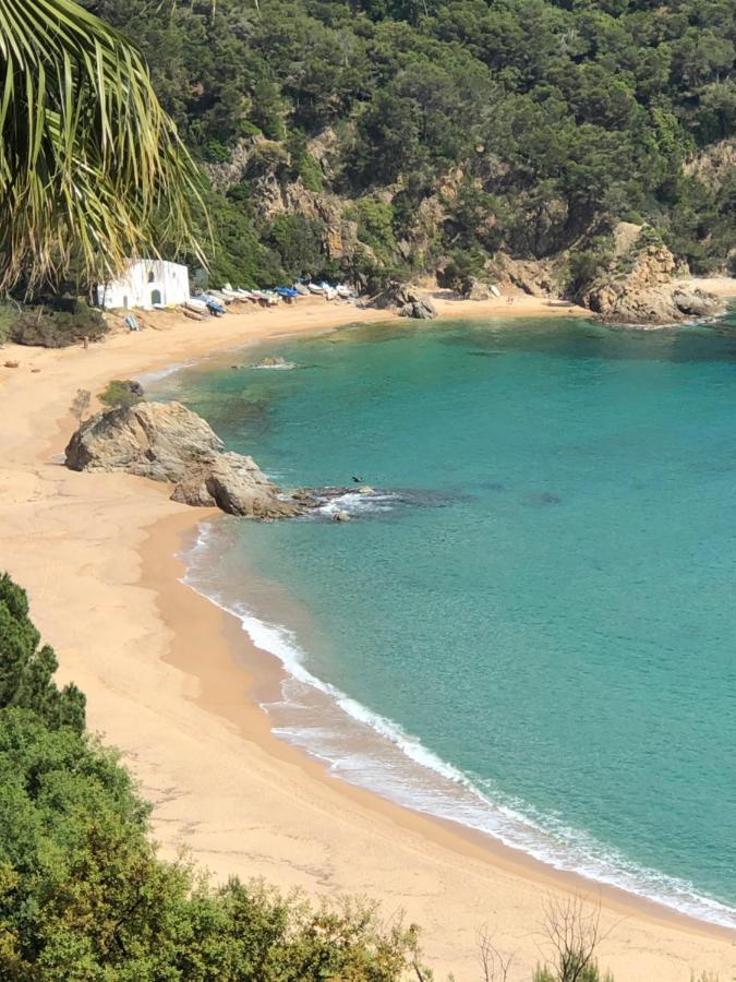 Casa vacanze Cala Canyelles Holidays